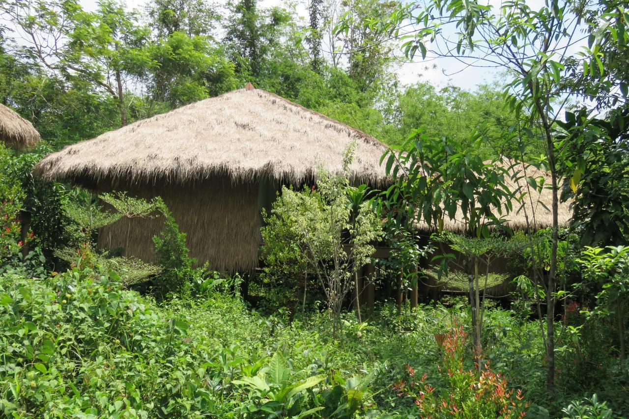 Rainbow Lodge Tatai Zewnętrze zdjęcie